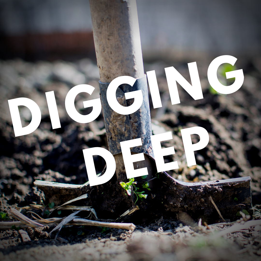 Complete Digging Deep Podcast Archives | Digital Download